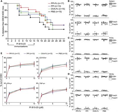 Oral Fc-Coupled Preproinsulin Achieves Systemic and Thymic Delivery Through the Neonatal Fc Receptor and Partially Delays Autoimmune Diabetes